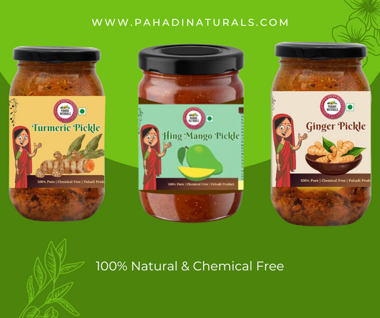 Exploring Traditional Pahadi Pickles and Chutneys