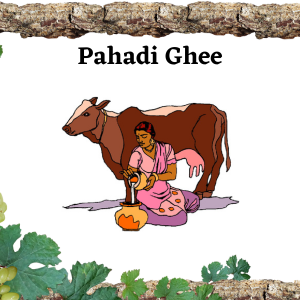 Pahadi Ghee – Pahadinaturals